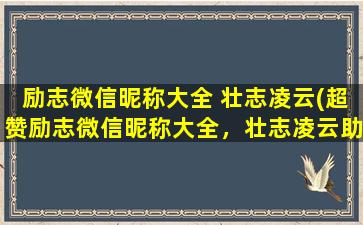 励志微信昵称大全 壮志凌云(超赞励志微信昵称大全，壮志凌云助你飞跃人生巅峰！)